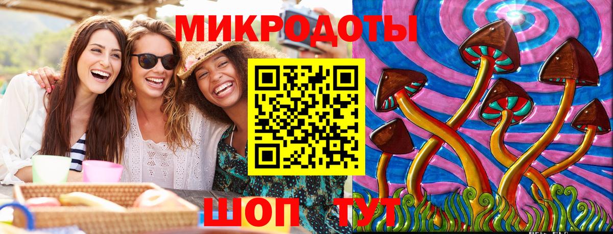 Шебекино  Псилоцибиновые грибы прущие грибы  Вход с VPN 