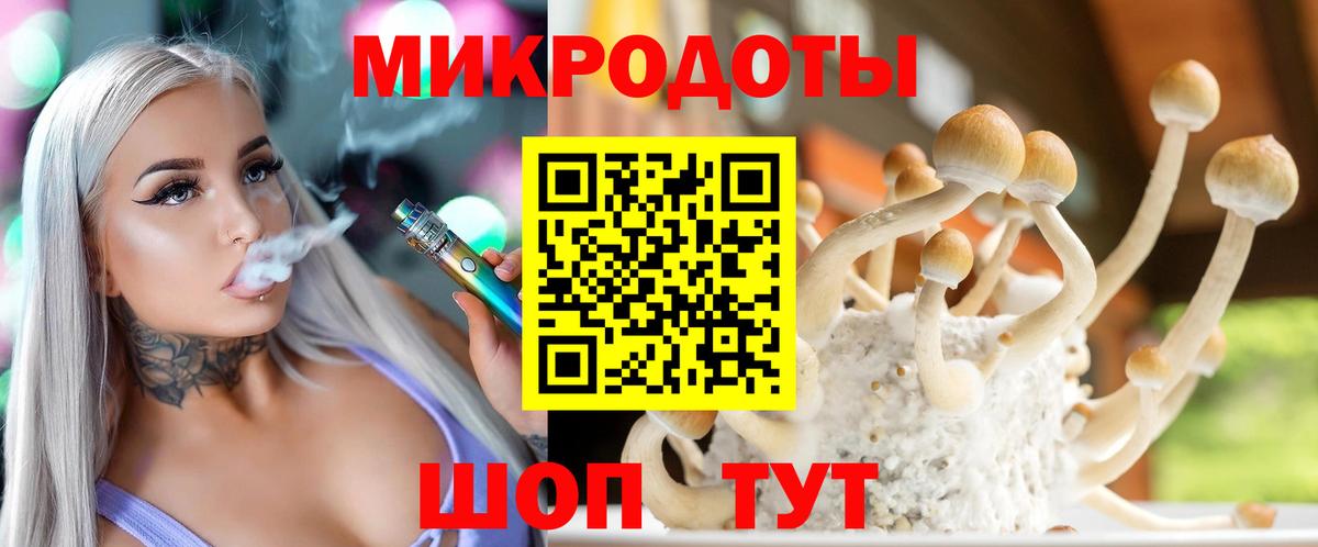 Псилоцибиновые грибы мухоморы Шебекино